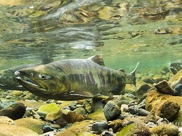 ̑kAiPhone10łBe\łB