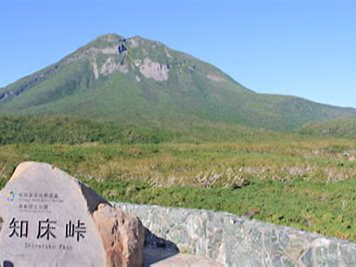 WVROmA獋ȃ_Eq͂ł傤Bu[Lwт܂B(>_<)