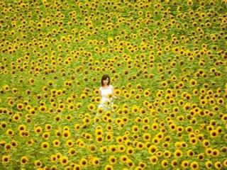 花とフルーツの楽園、世羅高原をサイクリング!