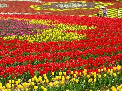 ȌiFAkCł͂܂( ^^) _U~~