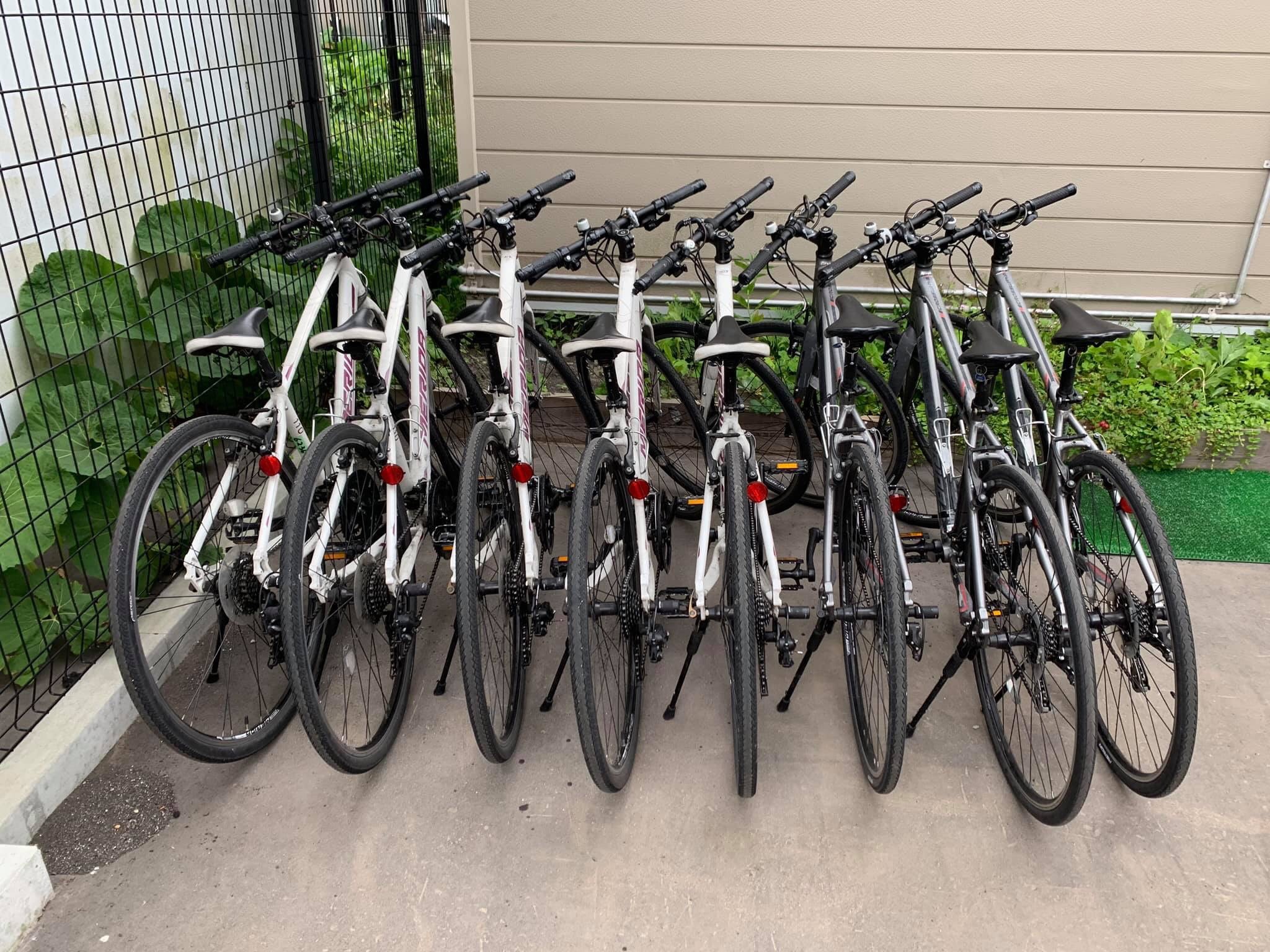 ���Ԓ��͎{�����肢���܂��B