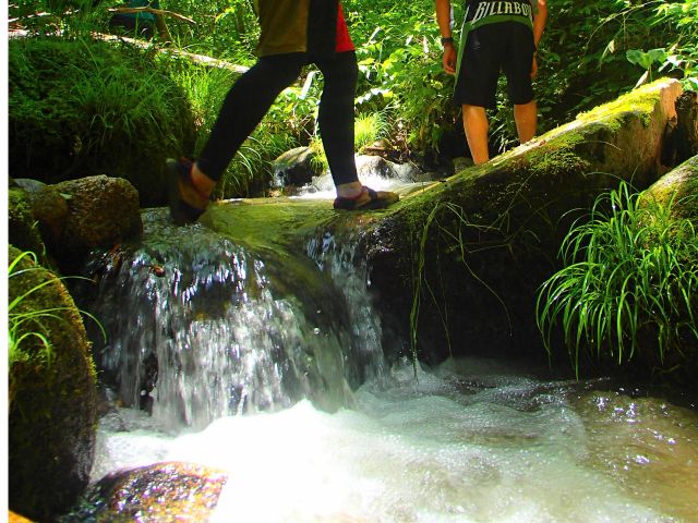 カヤックで奥に進むと神秘的な小川に出会えるかも