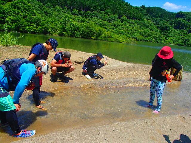 運が良ければビーチに上陸、キラキラ金色の石(雲母)探しに夢中
