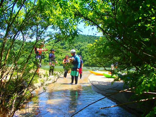 カヤックで奥に進むと神秘的な小川に出会えるかも