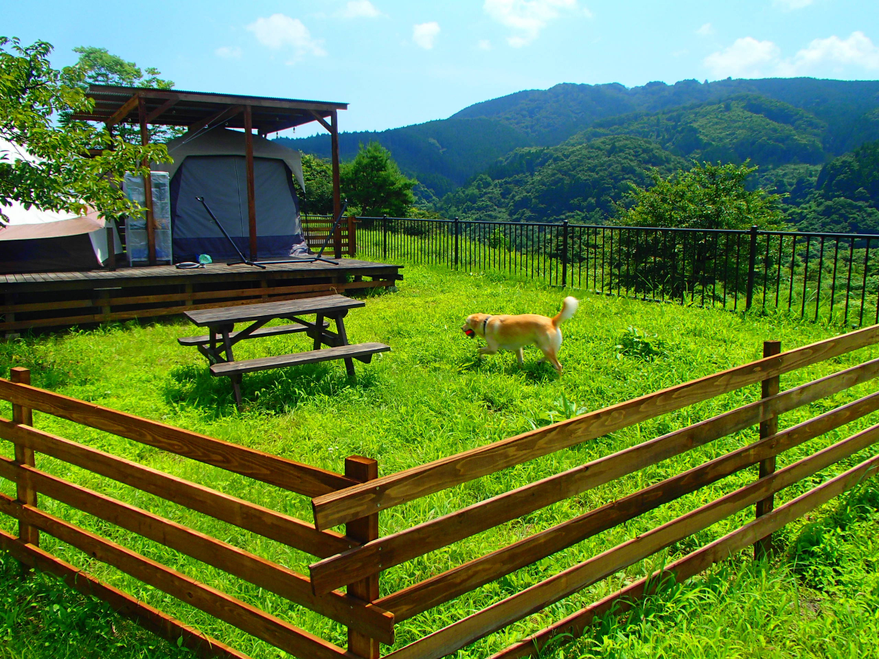 ドッグラン付きの棟