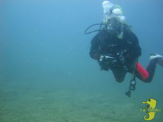 何も考えずに、ただ遊ぼう(*^_^*)!