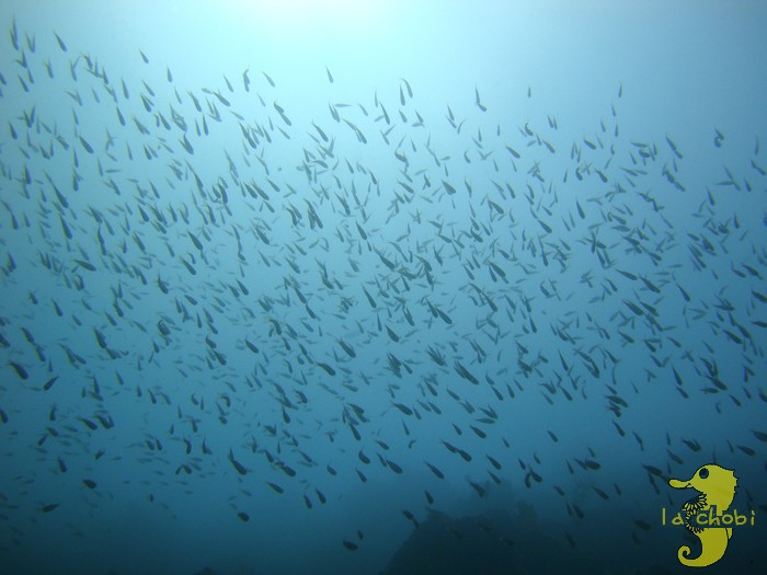 ���t�ɏo���Ȃ��u�Ԃ��I