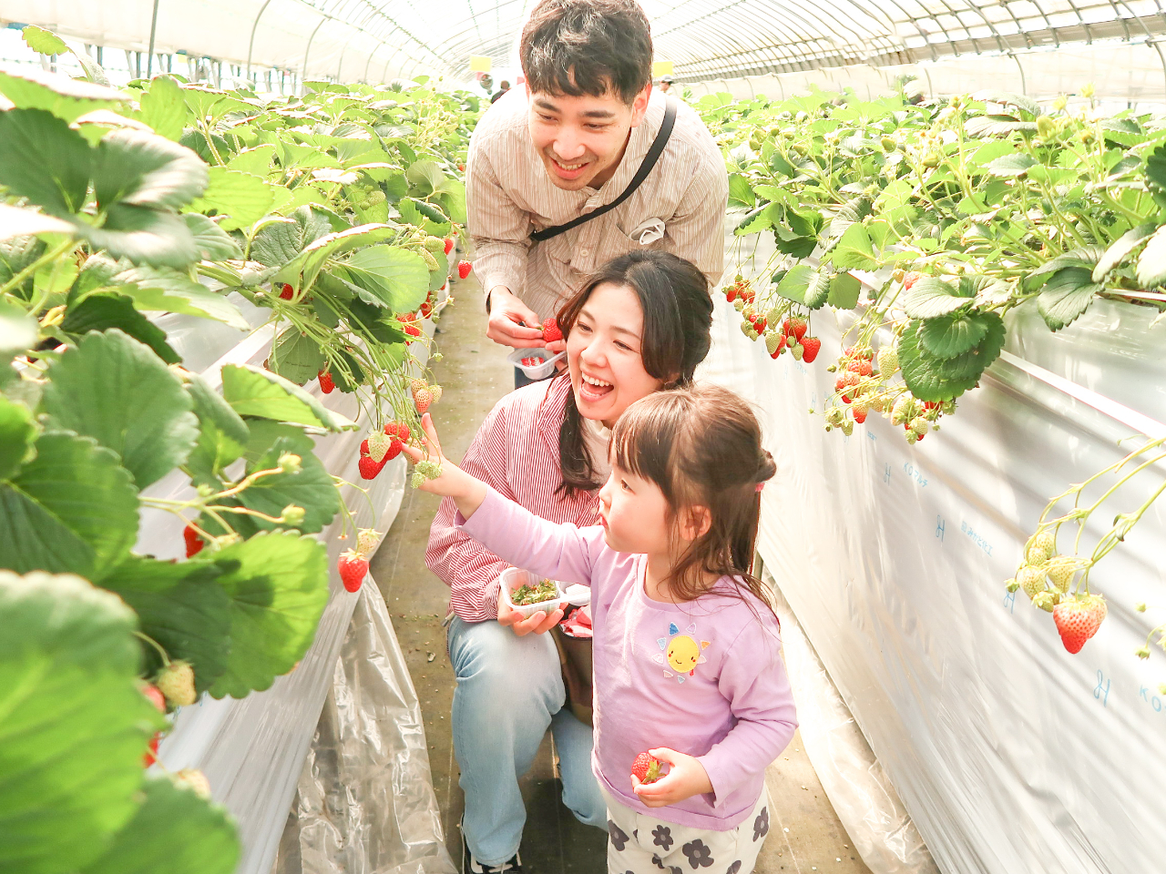 ݍ͔|Ȃ̂łqlłEݎ肵₷