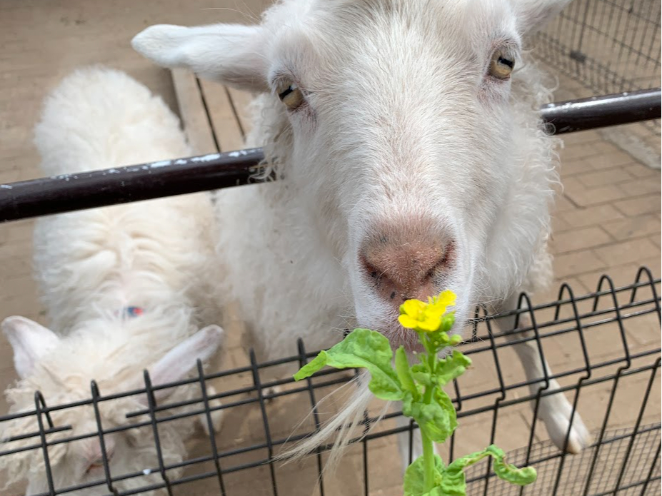 wȉ̂qĺA€ƂɃGŤł܂!