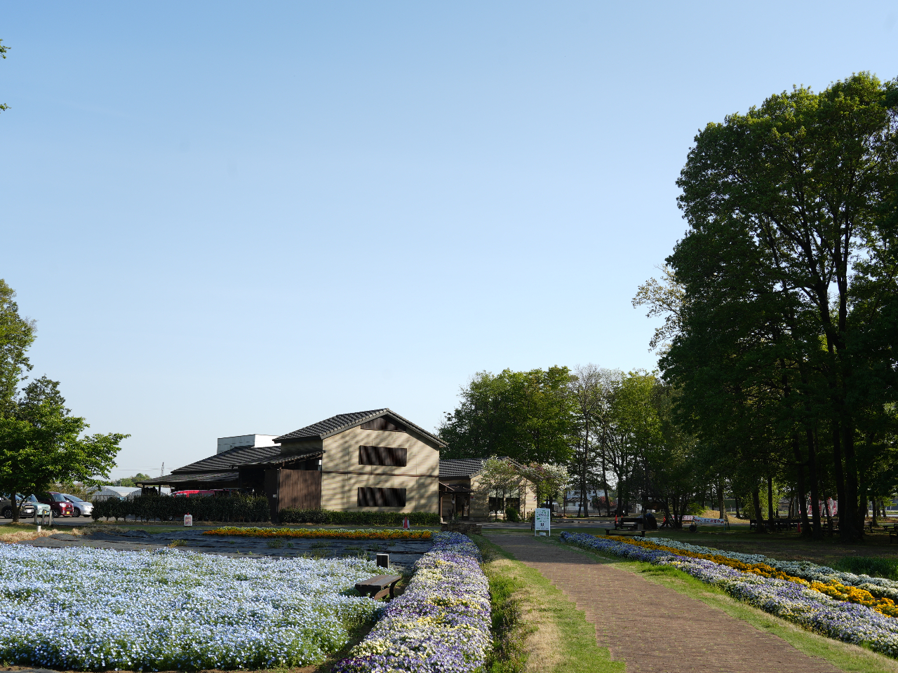 ���������̎�t���������͂�����ł�