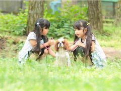 山梨のゴーカート 公道カートランキングtop4 じゃらんnet 山梨のゴーカート 公道カートランキングtop4 じゃらんnet