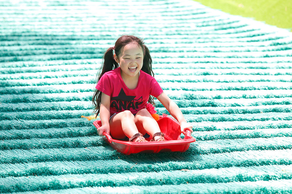 �W�����{���ׂ��@�l�H�ł̒����Ζʂ�����ō����ɂ��ׂ�A��Ԃ����Ǒ�l�C�̃A�g���N�V�����I