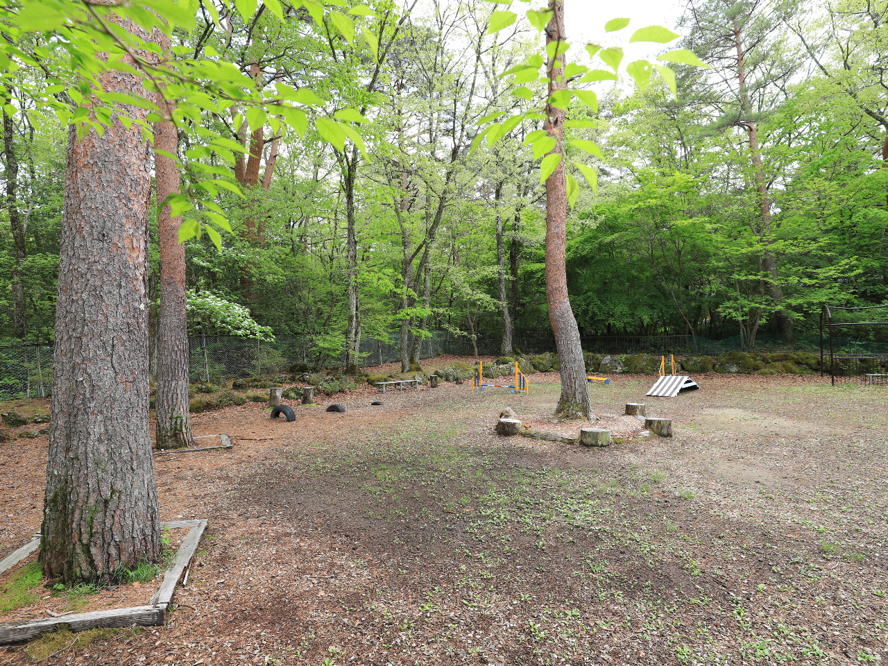 �����X�O�h�b�O�����@