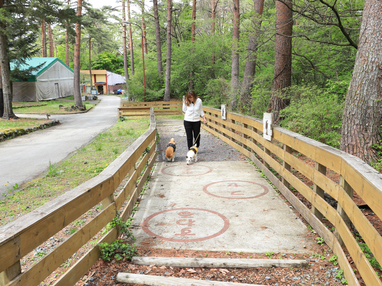 ��񂿂��p�t�B�b�g�l�X����