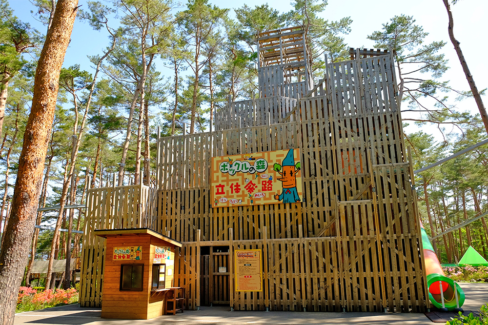 �{�b�N���̐X���̖��H�@�T�K���Ă̍����̑傫�Ȗ��H�Œm�͂Ƒ̗́A�^���߂������Ȃ���S�[����ڎw���I