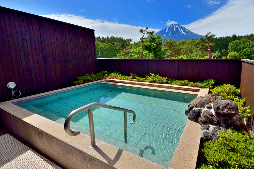 ̃pm}C܂߁AXނ̂Cy߂܂