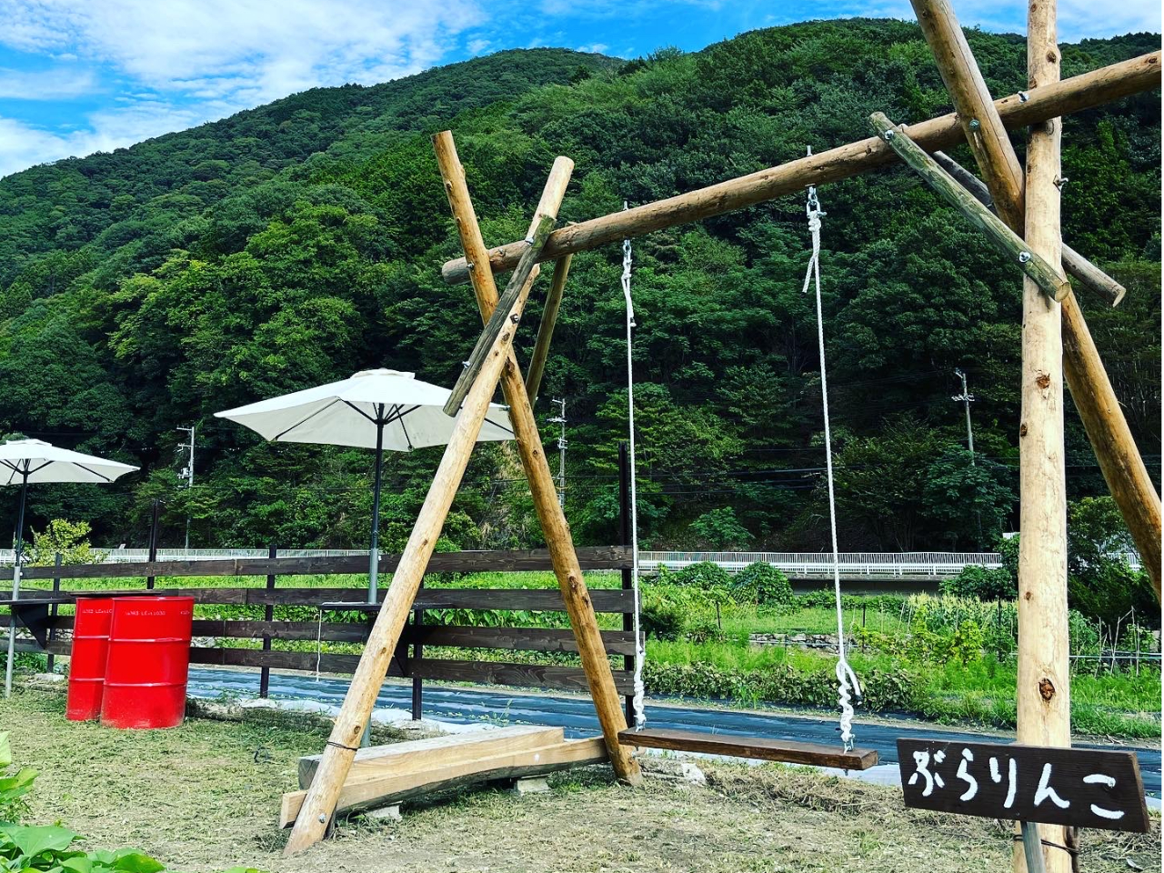 さつまいも芋掘り】2株1000円！子どもから大人まで楽しめる秋の収穫