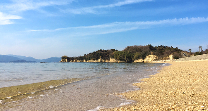 ����C�������