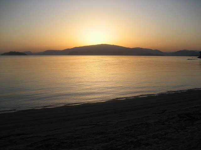 ����C�������