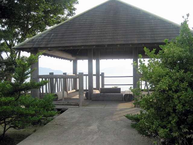 ����C�������