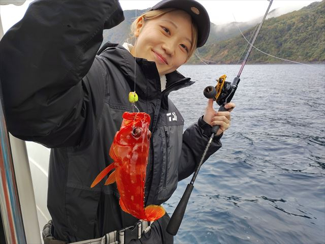 rfIʐ^̎Be͂CIIRBċAɃf[^[v[g܂B