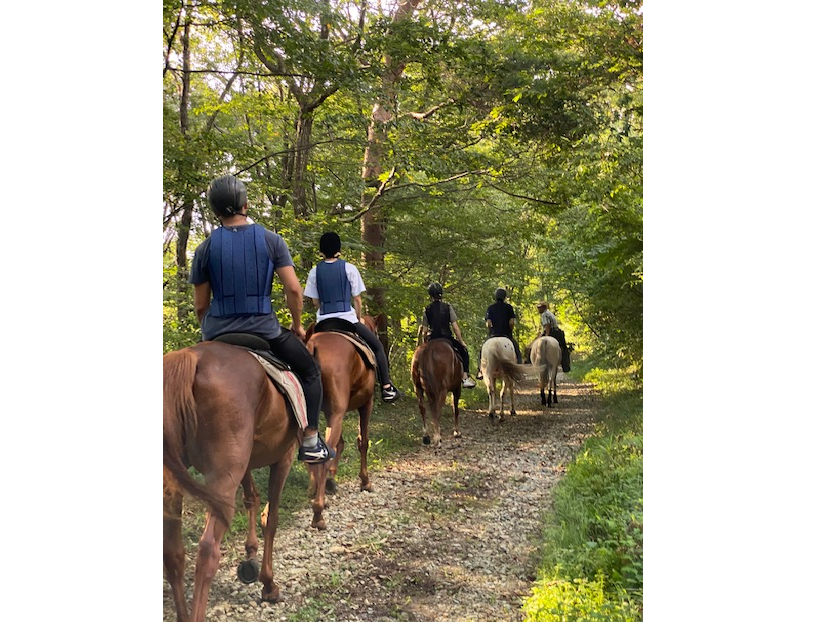 nS҂̕łyݒ܂@JbvŃt@~[ł̏ň@߂Ă̏ň@SҏnOK ߐ{O@ߐ{z[XgbLO@ߐ{n@Ȗ؏n@