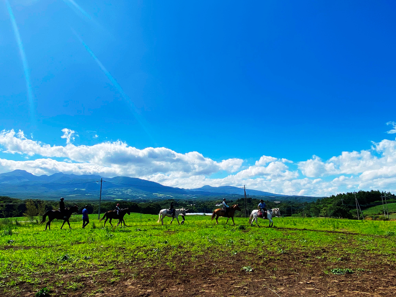 ���C�f�B���O�N���u�W���o�[���@�ߐ{��n�@�ߐ{������n�ŎU��@�N���u�~�n�ɂăX�^�[�g�O�̃��N�`���[�̗l�q�Q���҂�8�������߂Ĕn�ɐG�����ł��@�߃z�[�X�g���b�L���O