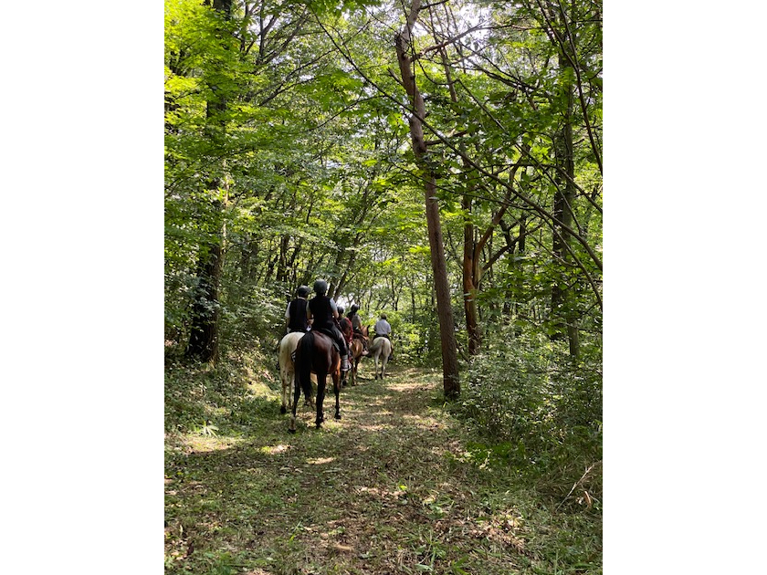 ���C�f�B���O�N���u�W���o�[���@�ߐ{��n�@�ߐ{������n�ŎU��@�����̖؂̃g���l���ł��I�ߐ{�z�[�X�g���b�L���O�O��@�r���̎ʐ^�ł��@��n���S��OK