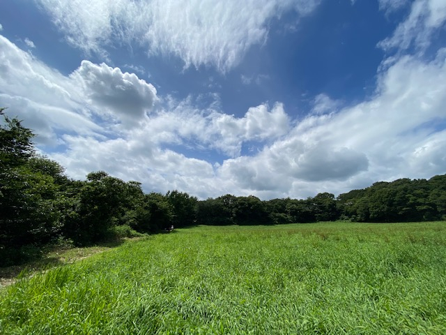 ���C�f�B���O�N���u�W���o�[���@�ߐ{��n�@�ߐ{������n�ŎU��@����ɔn������܂��I�ߐ{�z�[�X�g���b�L���O�r���̑����@�ߐ{�O��厩�R�𖞋i�@��n�̌�