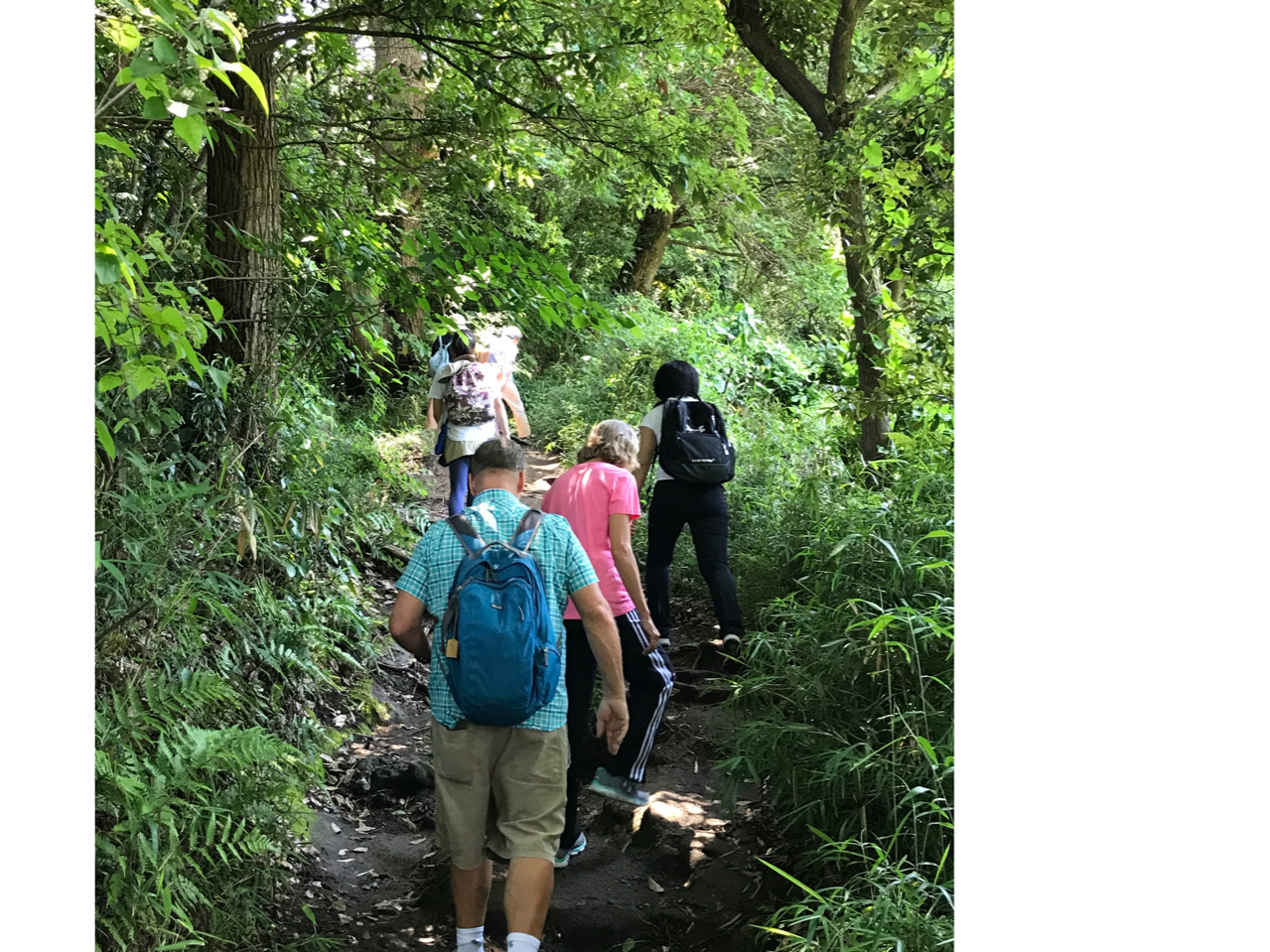 VCǂ΁Arȕɂ̓gbLOē܂