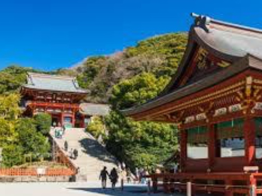 qɂzɂȂꂽOȂLȒ߉{FłQ肵܂BLȉBC`ÊbȂǁAqŃ~N  ~zKChē܂I