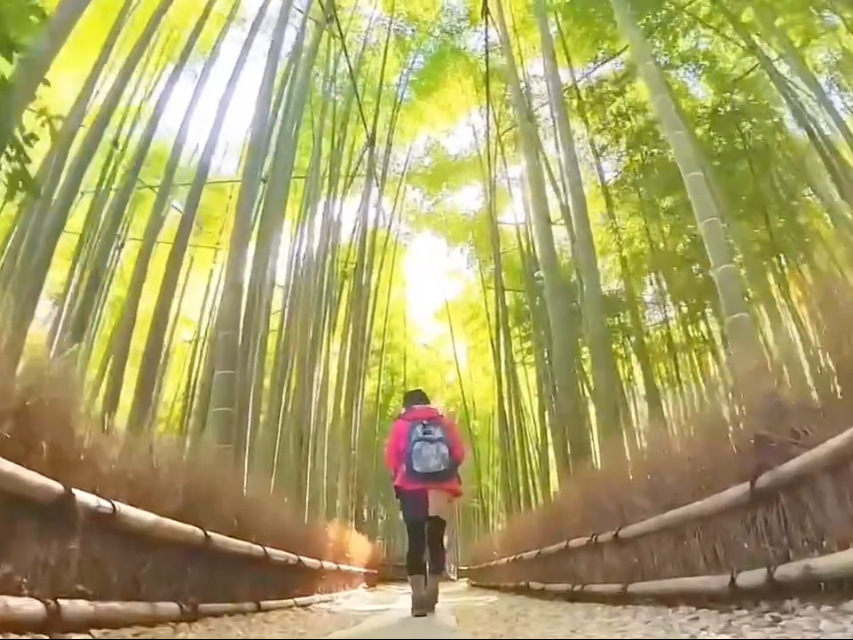 qɂ͑u₩ȕO|т܂B|тŐ[ċz܂񂩁I