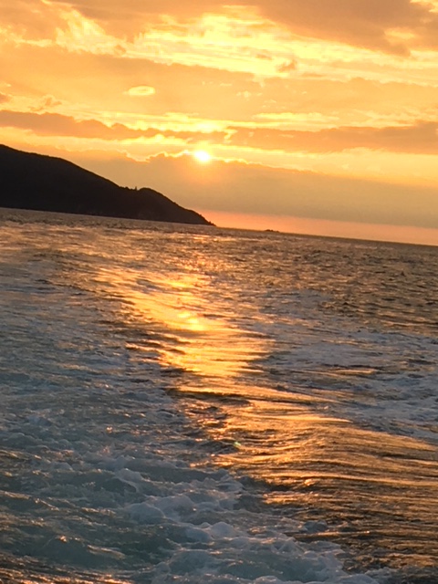 太陽が作る海の道