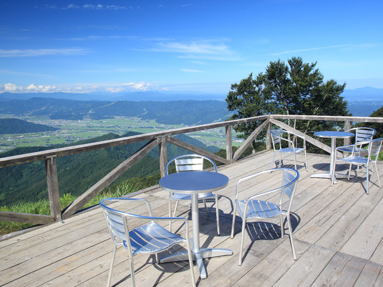 �R���w�e���X