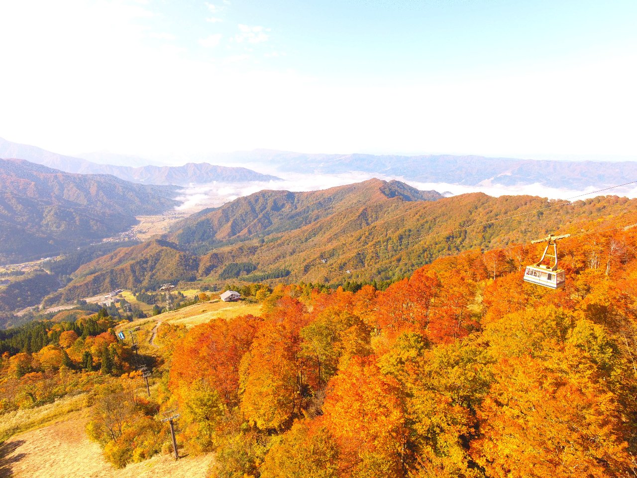 【紅葉の八海山ロープウェー往復乗車券】~眼下に広がる360°の大紅葉~【ファミリ...