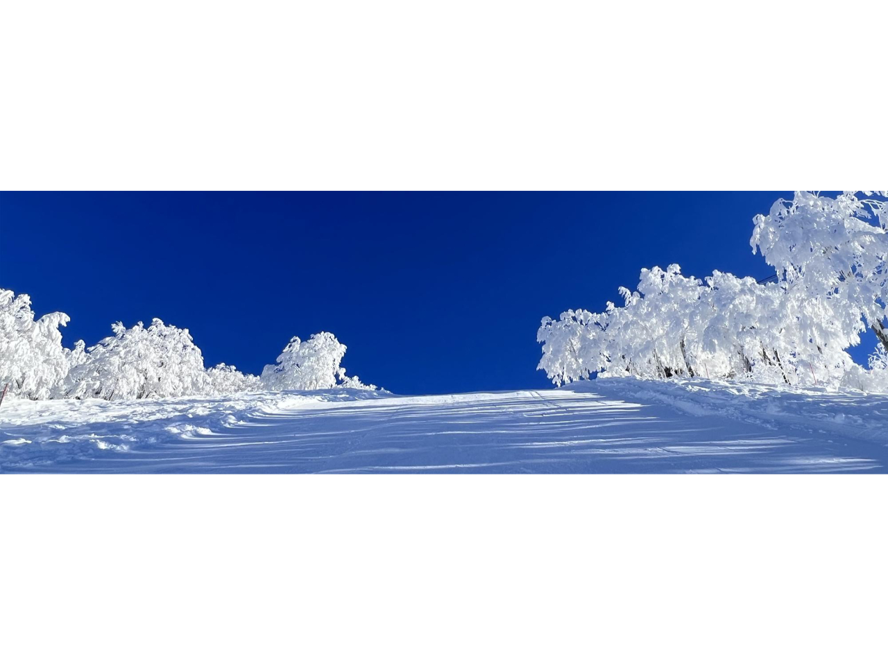 ���C�R���ے�����_�E���q���R�[�X�E�R�u�ΖʁE�[��Ȃǂ̊��肪�y���߂�S11�R�[�X