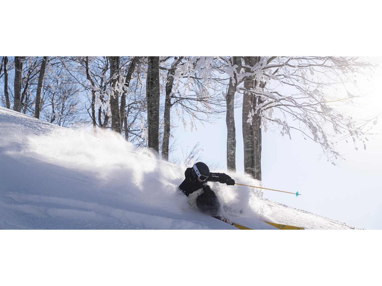 �_�ɕ����ԁA�V��̃p�m���}���]�[�g�ցB�@�Z�������C�R�X�L�[��