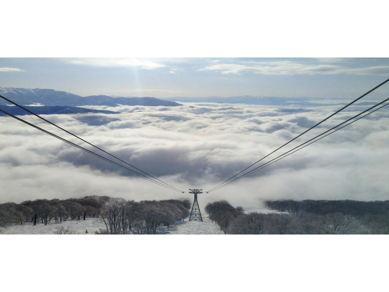 �_�ɕ����ԁA�V��̃p�m���}���]�[�g�ցB�@�Z�������C�R�X�L�[��