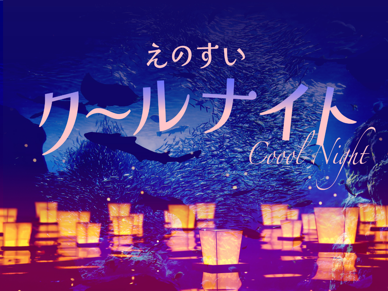 【夜だけの特別仕様（特典無し）プラン】えのすいクールナイトプラン　≪ファミリー・...