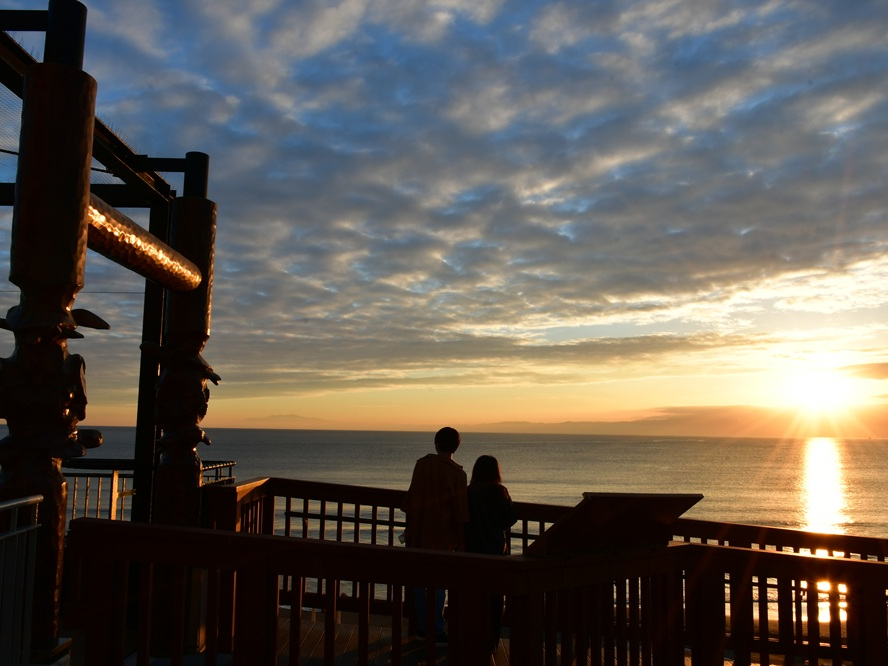 先着限定】特別イベント『えのすいで発見!!たまごっちと海のなかまたち