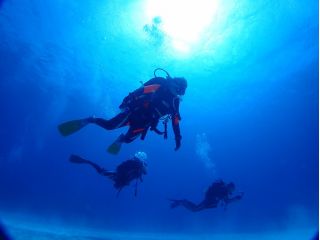 水中世界を体験しましょ!