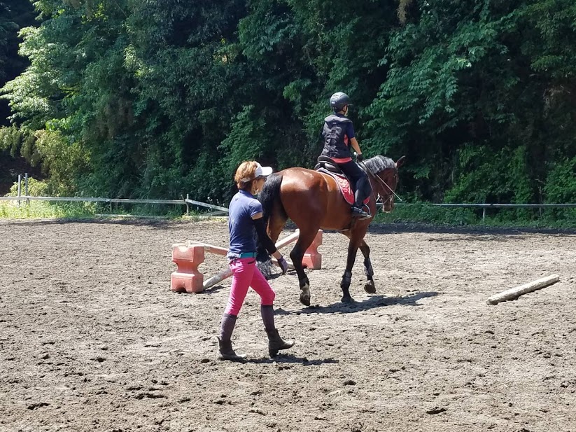 体験乗馬20分コース Oiso 乗馬 クラブ じゃらん遊び体験