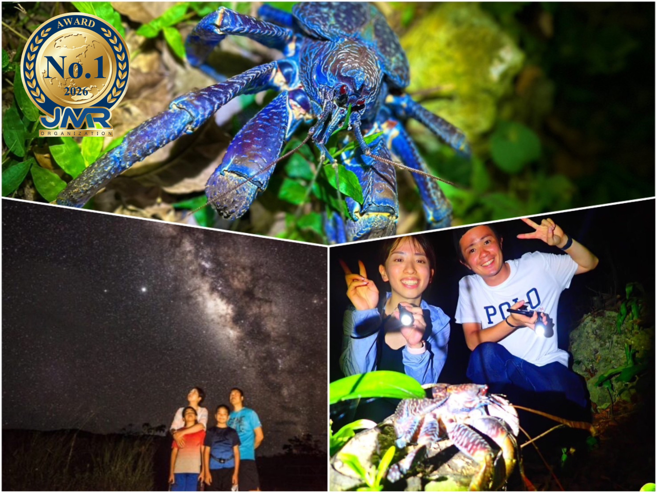�y�{�Ó��ő��z�Q���Ґ��S��No.1�I���󁕃W�����O���i�C�g�c�A�[���y���Z�E�X�������Q�̊ϑ��`�����X�I�����\��OK�b���}�\