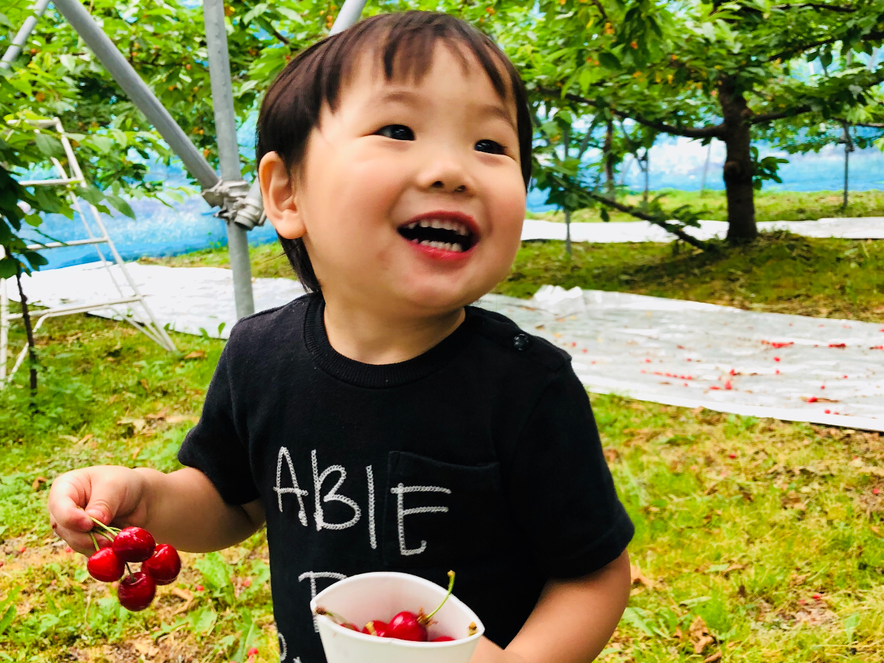�f���炵���F�E���E���A�����Ă������ڎ��̊y���݂����Ƒ��Ŗ�����Ă���������