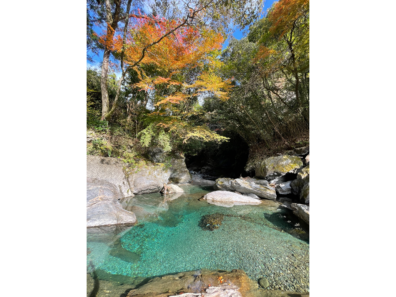 ́AsiȂ߂jԔ̂͏HBs̃GhO[ƍgt̐Ԃ̃RgXgɂƂB