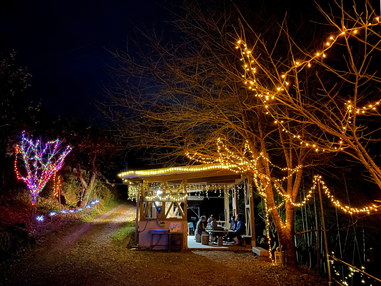 12̂ӂꂠ̗Ȃ߂̓C~l[Vɍʂ܂BƑŁAԂŁANX}XLvȂǂłH12̂݊ԌŁA15`22̓Av