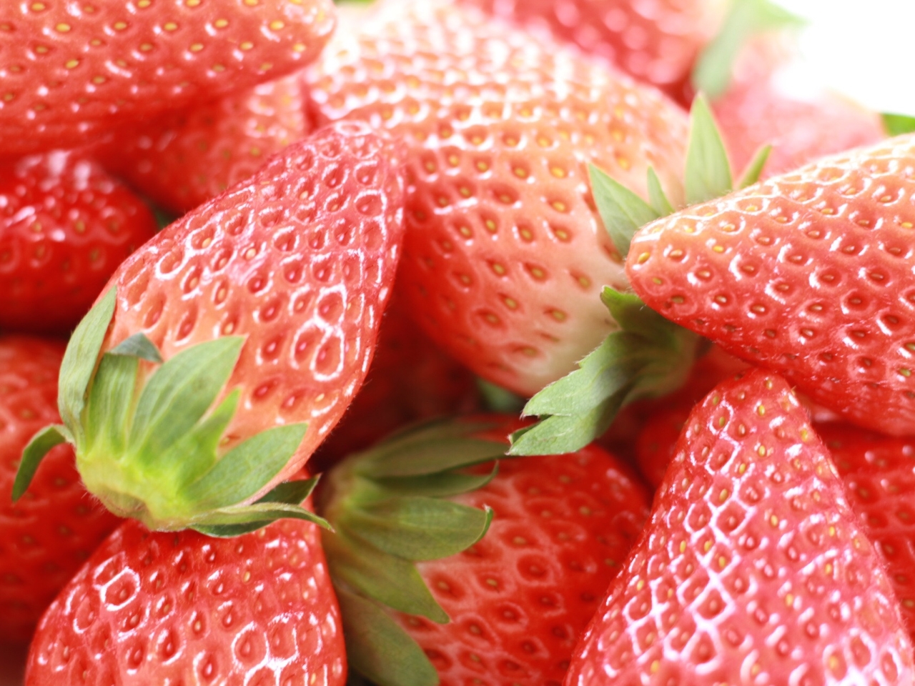 【岐阜・恵那/いちご狩り】☆〈2026/1/15~5/10〉オリジナルミニパフェ...