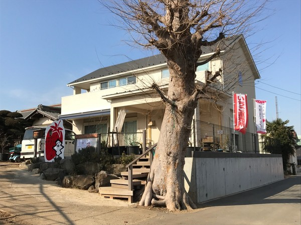 受付はこちら！ いちごののぼりが目印です！