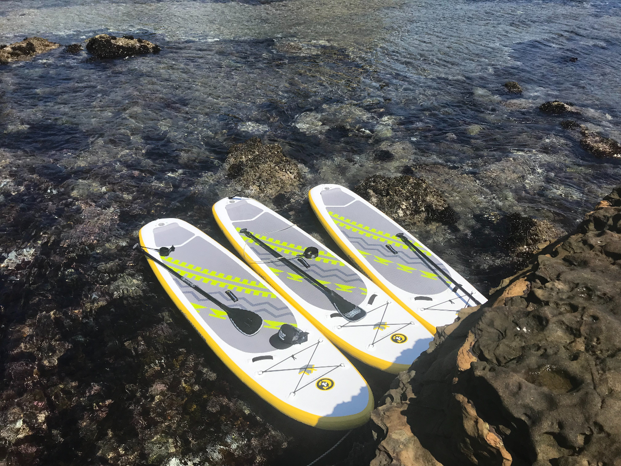 半日プラン【サーフボードレンタル】サーフボードレンタルでサクッと楽しい海時間を!...