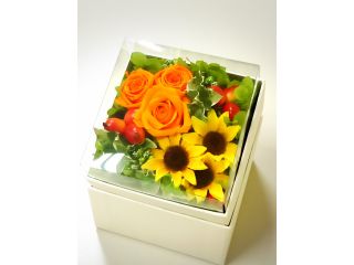 プリザーブドフラワー ボックスアレンジ プレゼントに最適 手ぶらでok Floral Deco じゃらん遊び体験 プリザーブドフラワー ボックスアレンジ プレゼントに最適 手ぶらでok Floral Deco じゃらん遊び体験